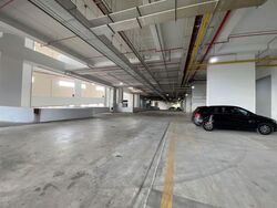 Ct Foodnex (D25), Factory #575910331